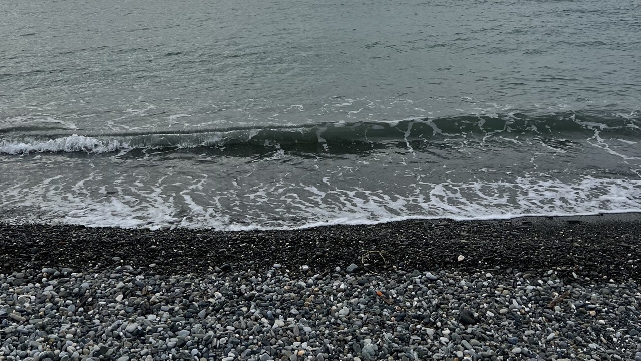 Жительница Абхазии Марина Барчан рассказала, ка...