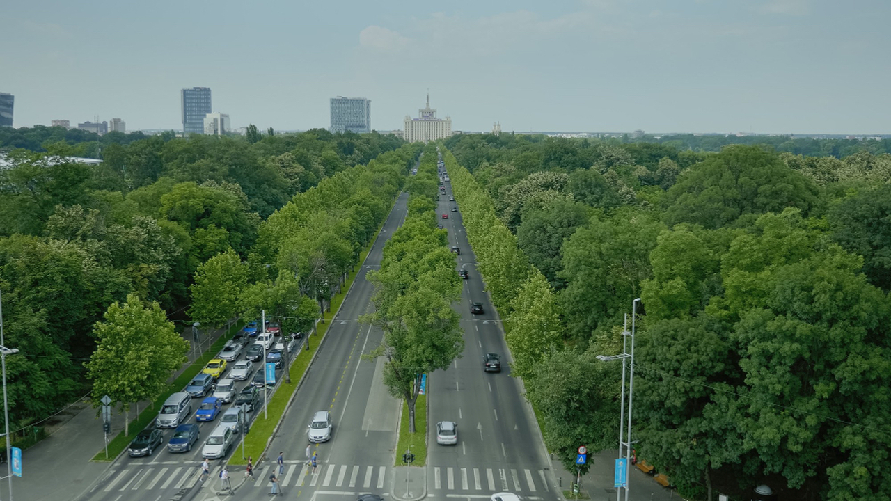 Эти новые правила ударят по каждому водителю Летом 2025 года для водителей вступили в силу н...