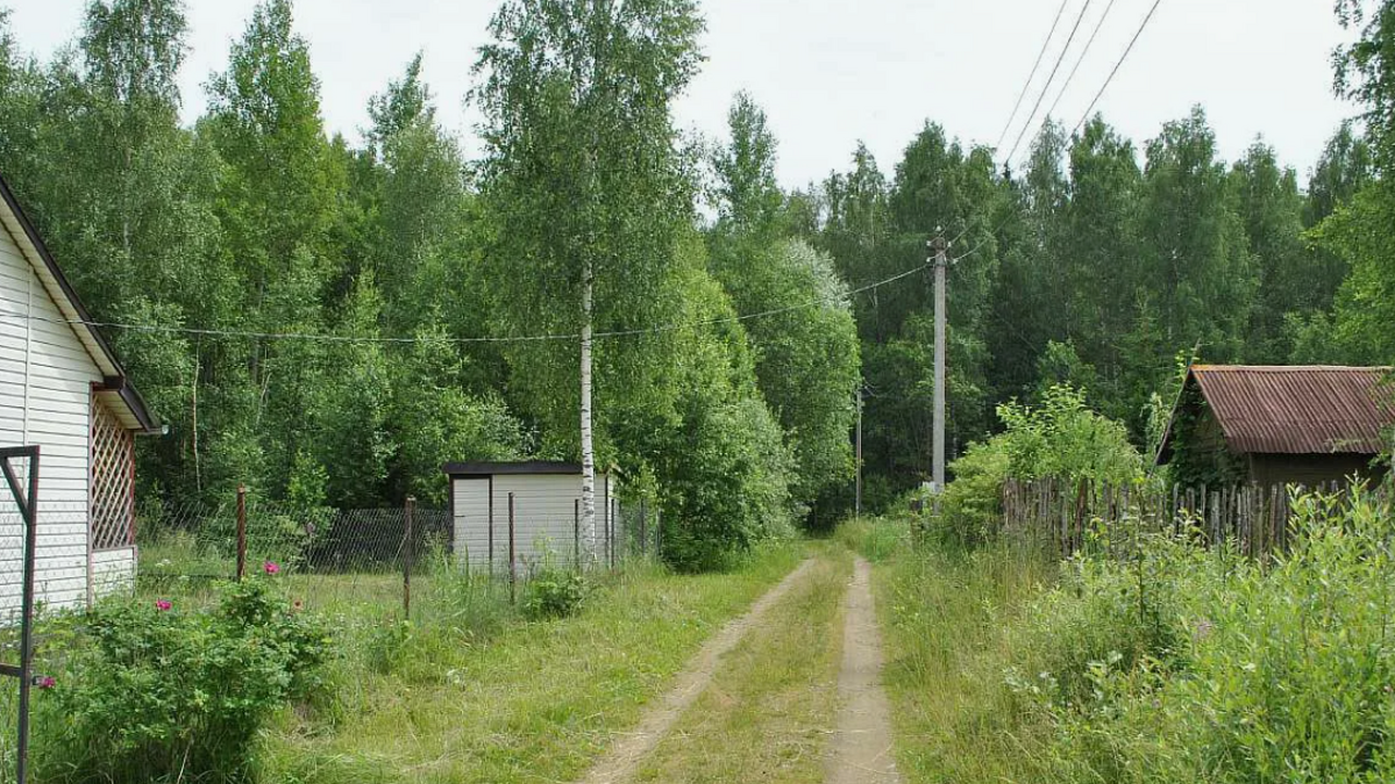 Наказания для всех автомобилистов на дачах и огородах — юрист рассказал, почему это может происходить Многие дачники, привыкшие к своим повседневным ...