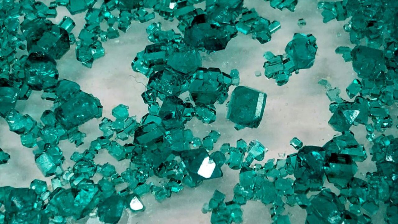 Группа исследователей под руководством специали...