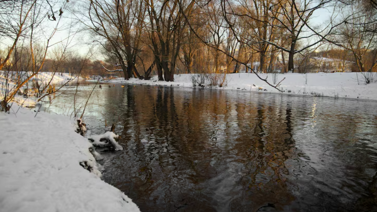 В течение четырнадцатидневного периода осуществ...