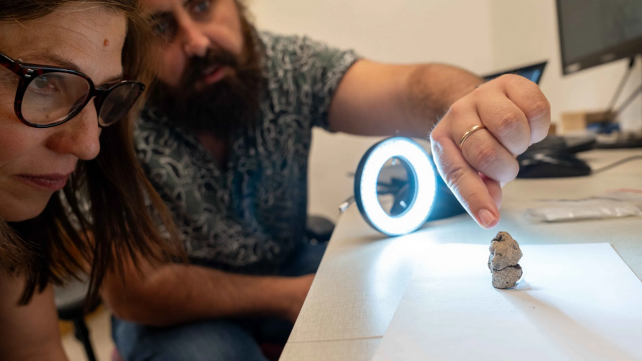 В Израиле на археологической стоянке нашли необ...