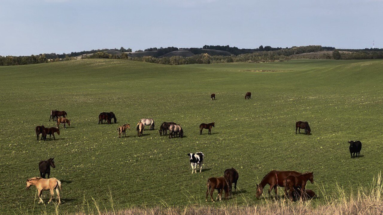 В Татарстане выявили и остановили попытки незак...