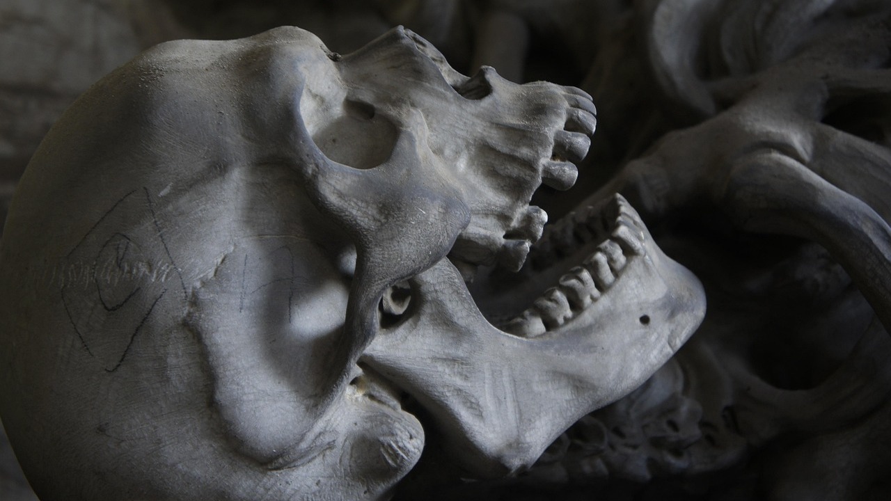 Новое исследование меняет взгляд на происхождение Homo sapiens Масштабный анализ геномов показал, что Homo sap...
