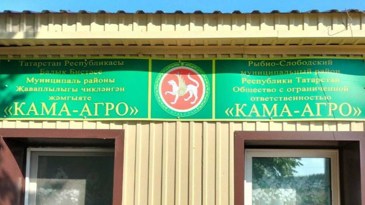 Бруцеллёз у скота стал причиной закрытия фермы и молочного цеха в Татарстане В Рыбно-Слободском районе Татарстана закрыты мо...
