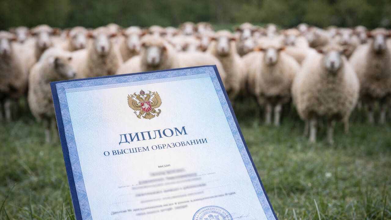 Совет Федерации одобрил закон, который освобожд...