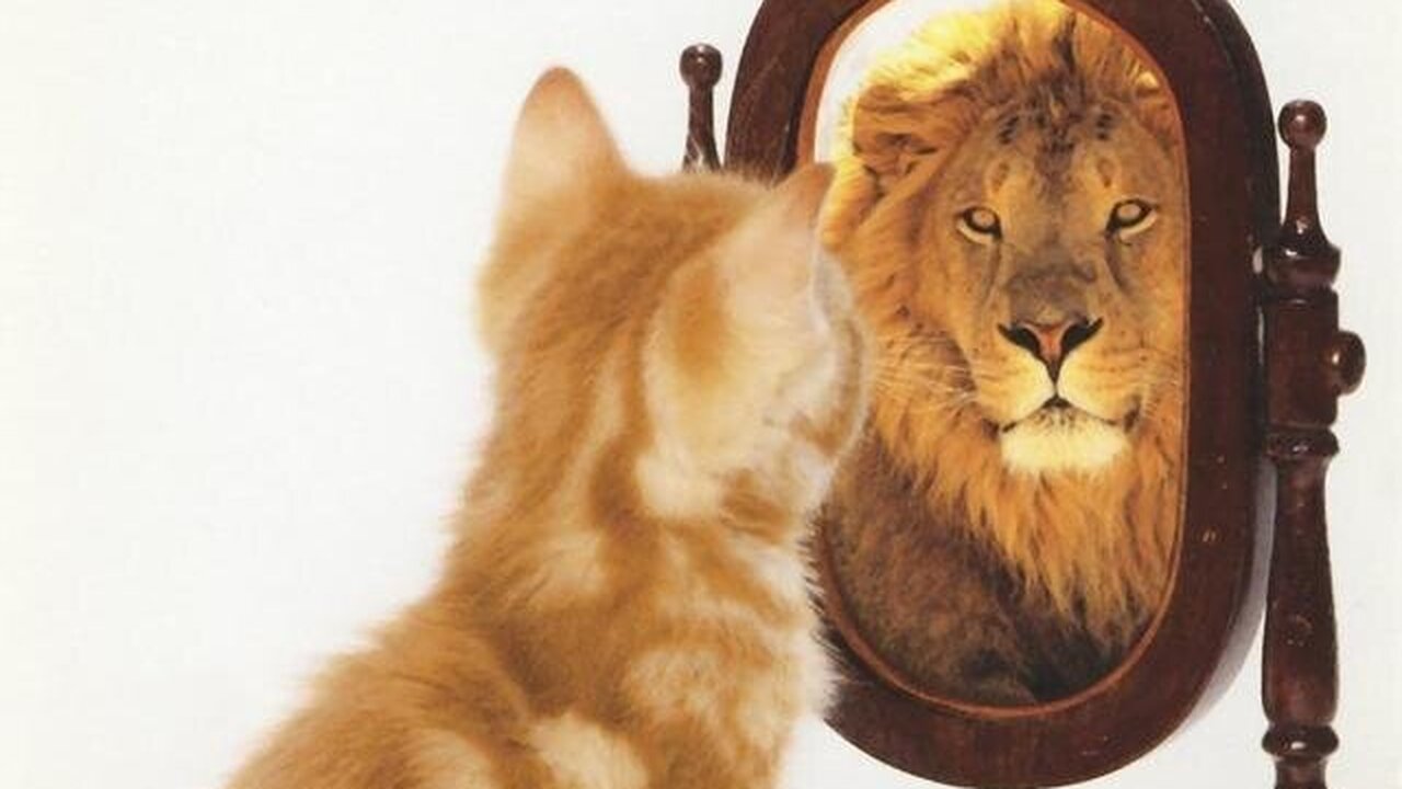 Какие 8 признаков, указывают на то, что вы умнее коллег? Показатели IQ не всегда зависят только от генет...