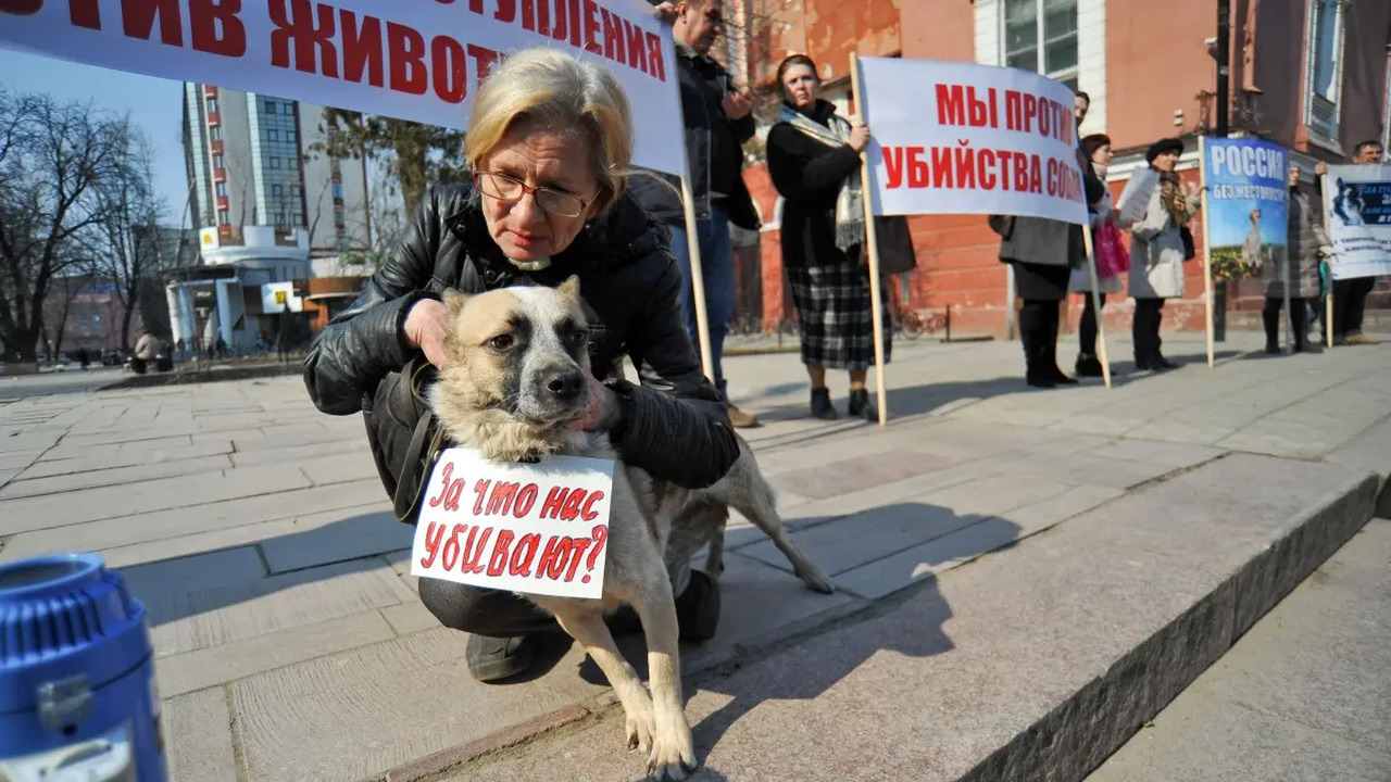 В России мигранты устроили средневековые представления, сыграв в свой национальный «футбол» мертвым козлом В Ростовской области мигранты устроили игру в к...