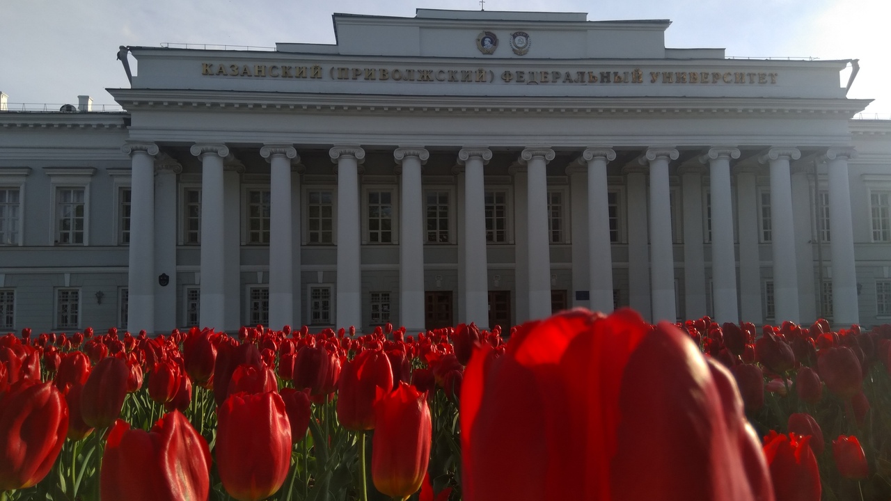 Стартовал прием документов в вузы Татарстана С 20 июня абитуриенты могут подавать документы ...