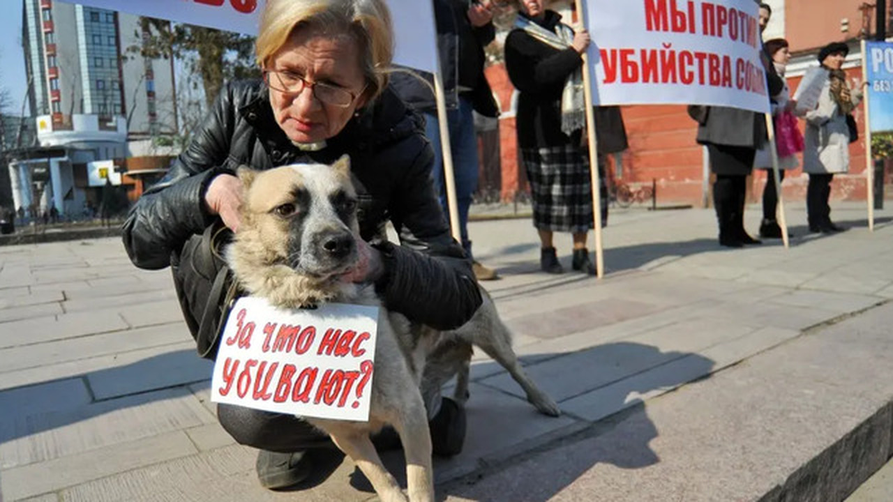 В Ростовской области жители возмутились проведе...