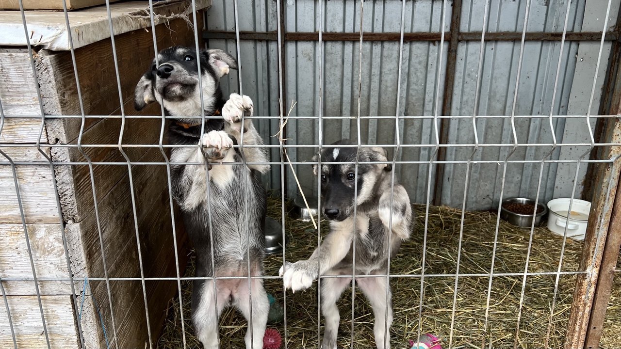 Жители Татарстана требуют пересмотра федеральны...