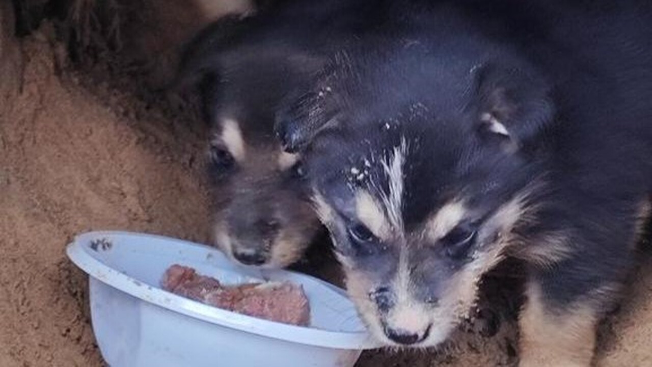 В Казани произошёл случай, который вызвал откли...
