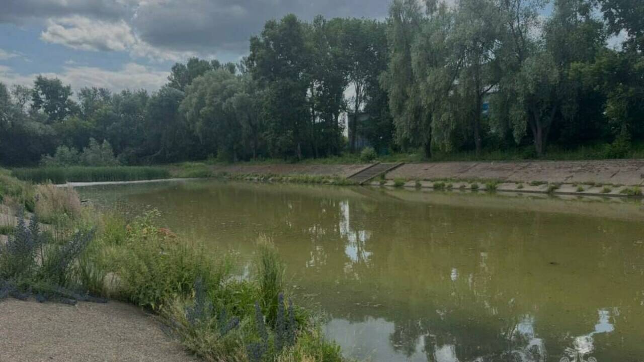 В Казани всплыло тело в озере рядом с парком Тинчурина В Казани на озере у парка Тинчурина было обнару...