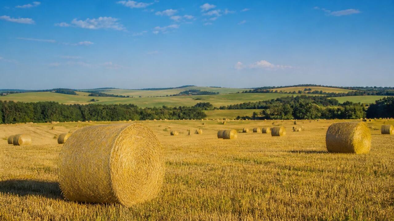В Татарстане продолжается кормозаготовка: загот...