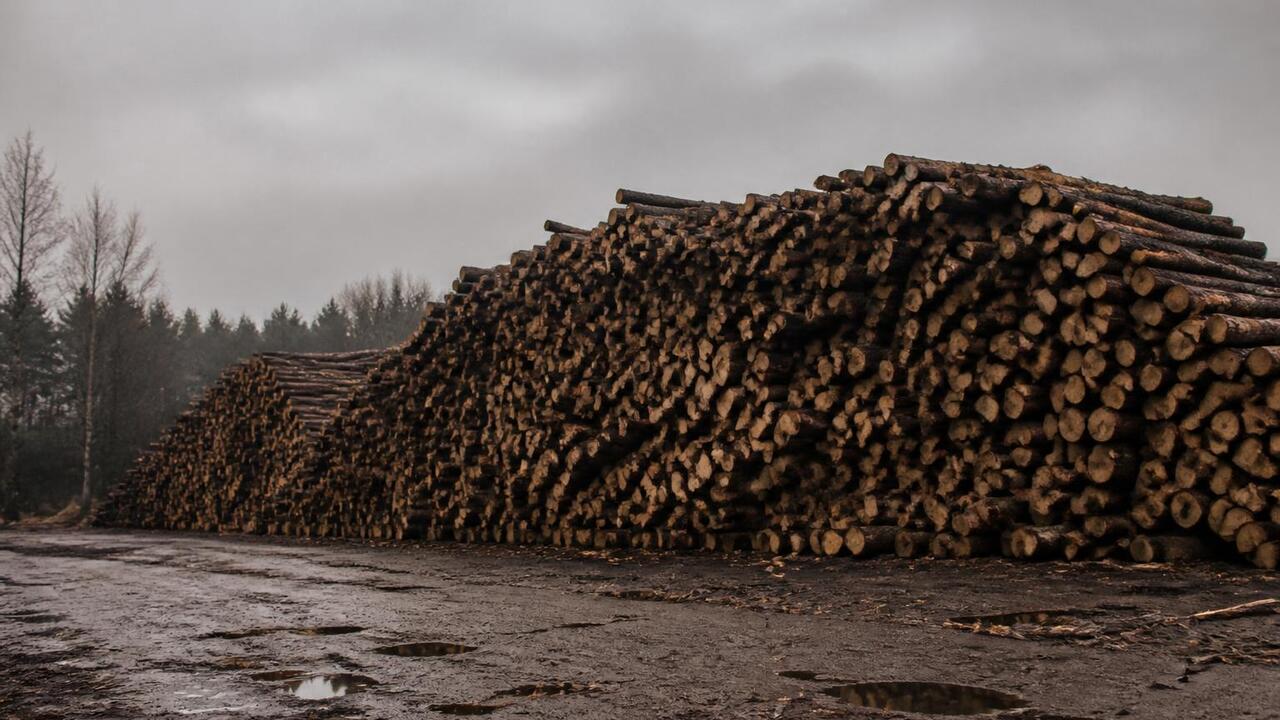В Татарстане зафиксировано падение объемов обра...