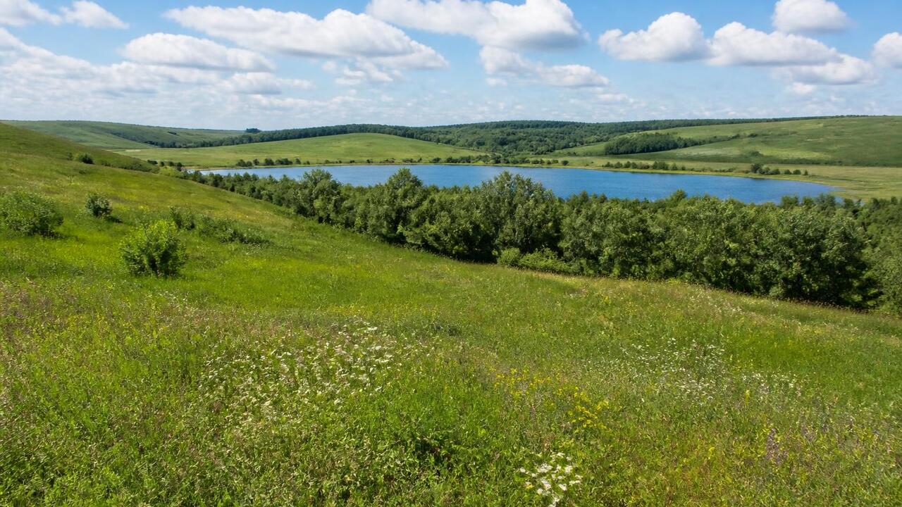 Теплая погода задержится в Татарстане до конца недели В Татарстане до конца недели сохранится теплая ...