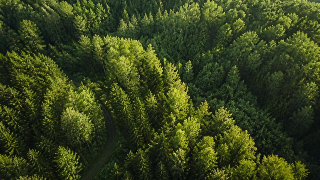 Правительство Татарстана внесло в Госсовет зако...