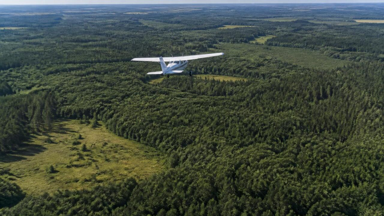 Лесной фонд Татарстана патрулируют с воздуха на...