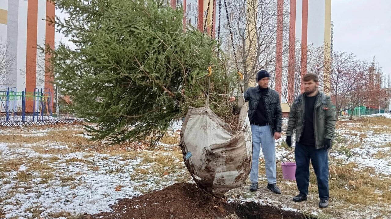 В Набережных Челнах зародилась новая замечатель...