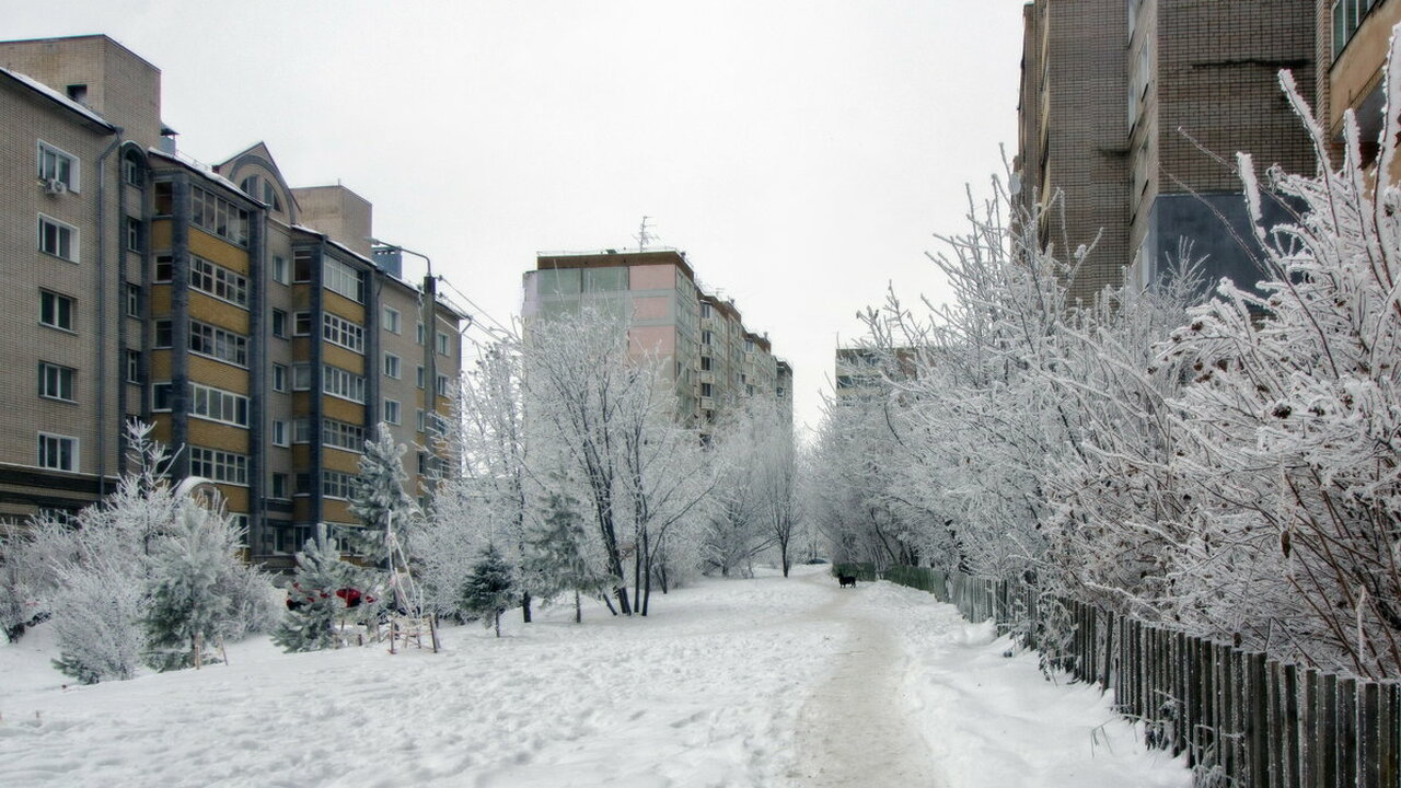 По прогнозам ведущих метеорологов, включая докт...