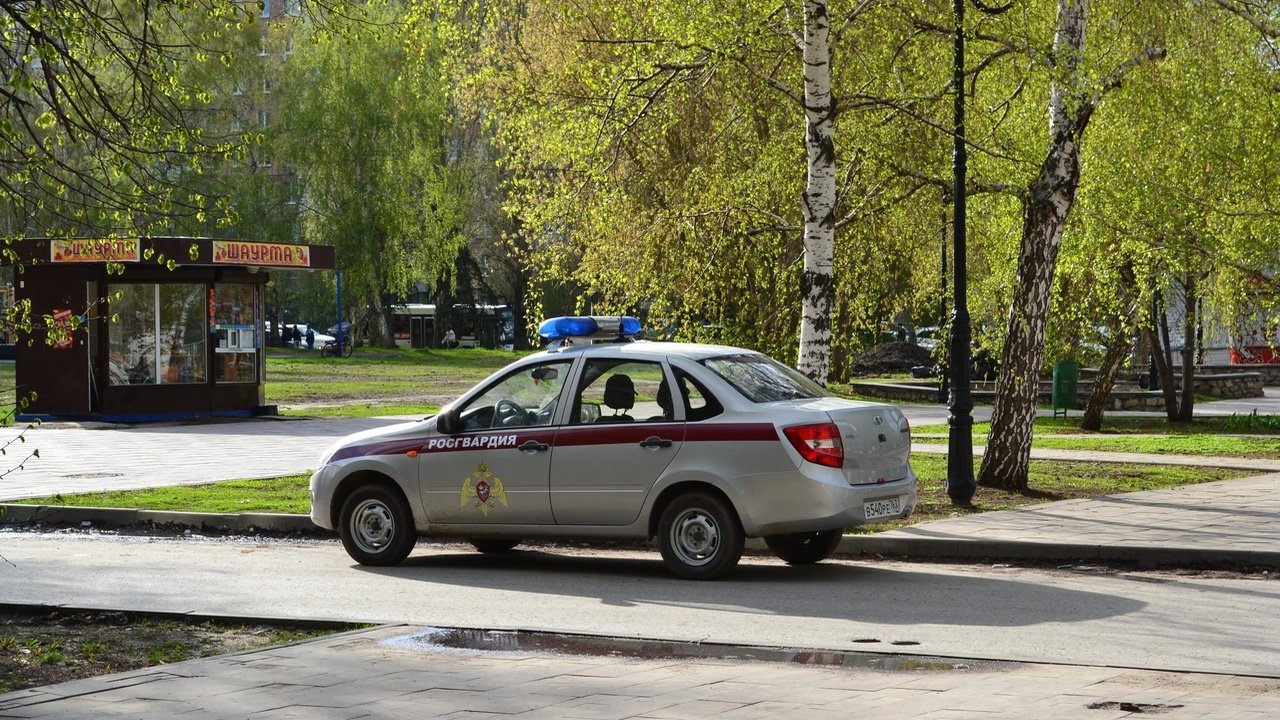 В Зеленодольске местный житель был задержан за ...