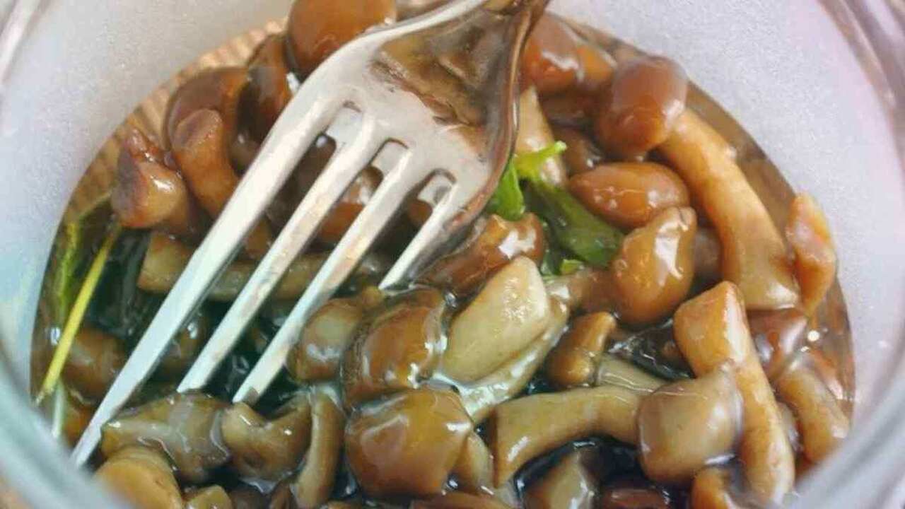 Маринованные шампиньоны — простая и универсальн...