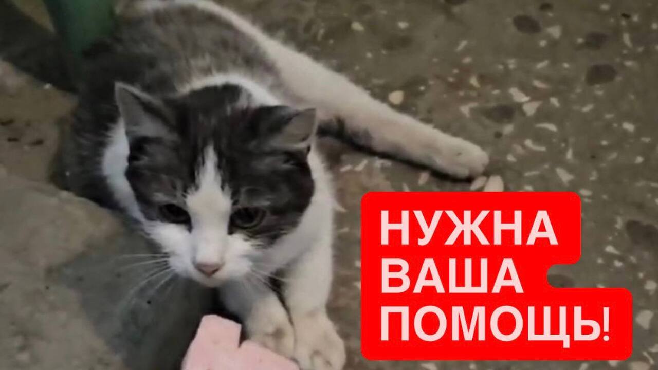 В Авиастроительном районе Казани нашли молодую ...