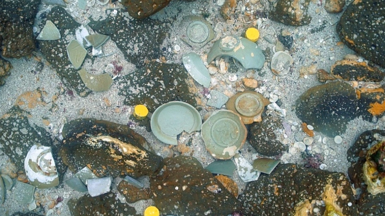 У южнокорейского побережья Тэана специалисты по...