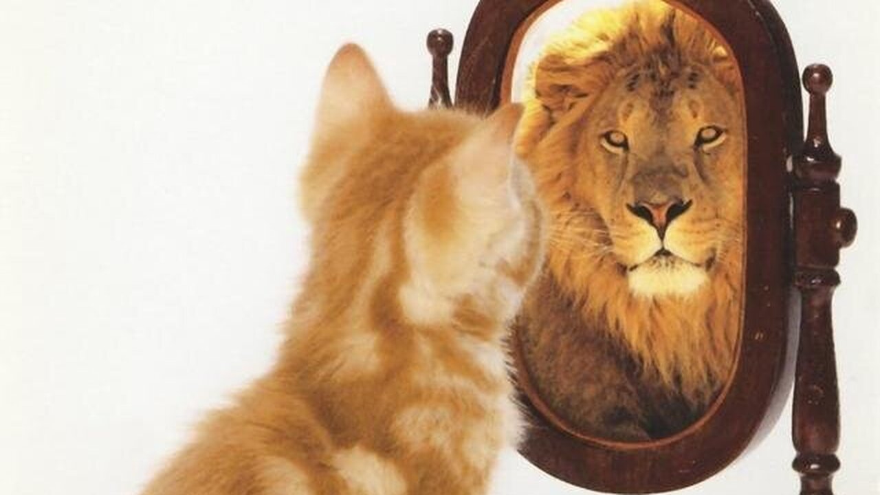 Факторы, влияющие на коэффициент интеллекта (IQ)