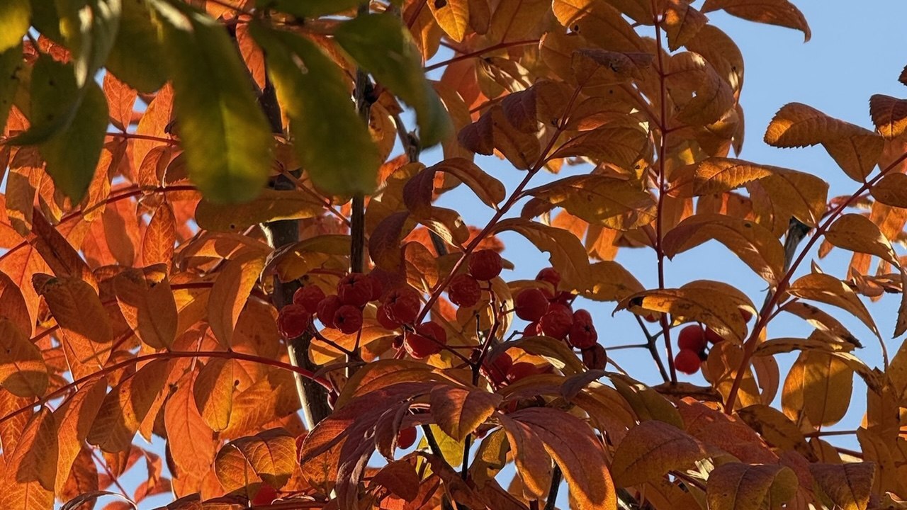 Кратковременное пребывание на природе может сущ...