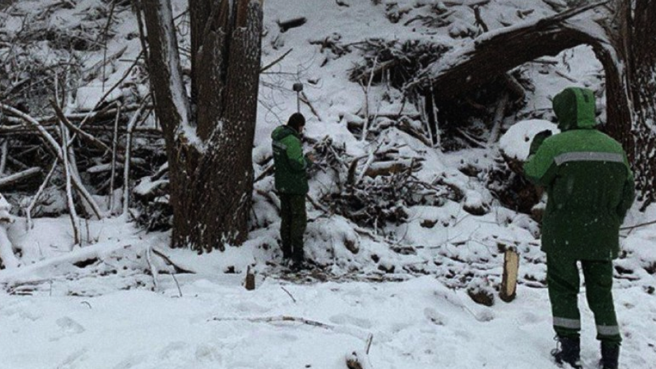 Огромную свалку площадью в тысячи квадратных метров нашли в Казани В Казани возбуждено уголовное дело по факту нар...