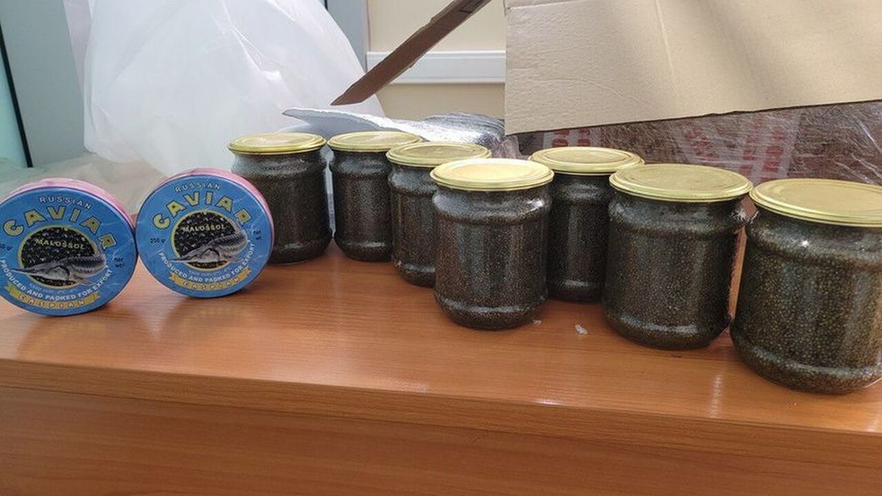 Россиянин взял икру в Дубай и теперь может заплатить штраф до 1 млн руб. Сотрудники Домодедовской таможни остановили 22-...