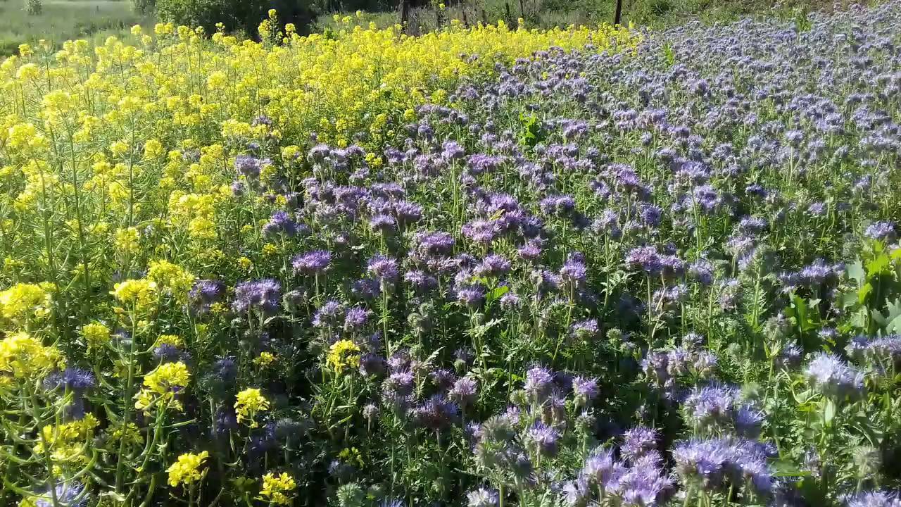 С приходом осени каждый огородник сталкивается ...