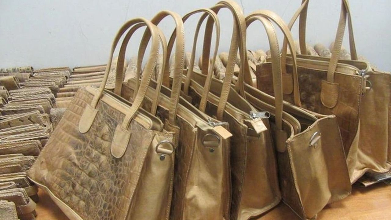 В Казани пресекли попытку ввоза редкой кожи на два миллиона рублей В аэропорту Казани пассажир пытался провезти 61...