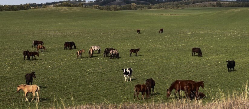 В Татарстане выявили и остановили попытки незак...