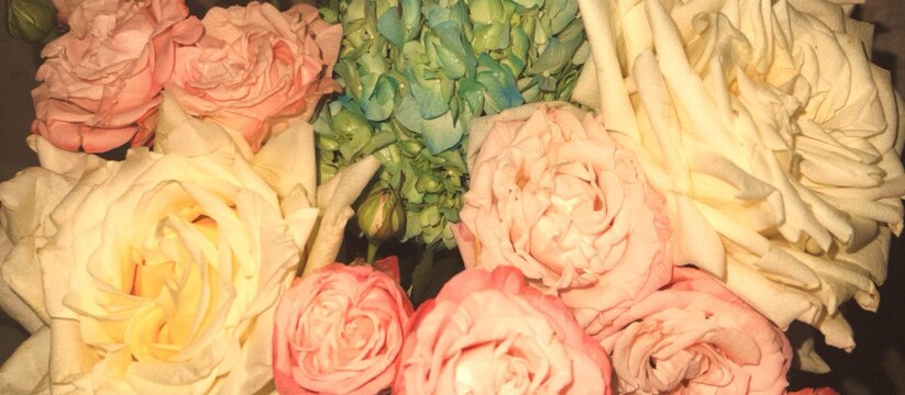 Жители Казани продолжают активно покупать цветы...