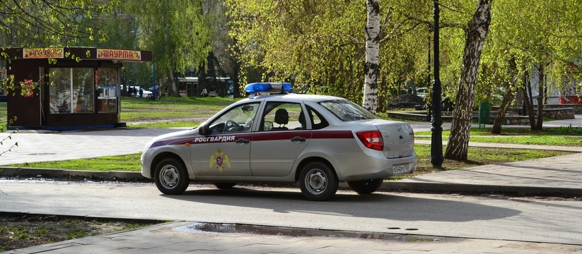 В небольшом городе Мензелинске, расположенном в Татарстане, произошел инцидент, который привел к задержанию мужчины сотрудниками вневедомственной охраны Росгвардии. Об этом сообщает пресс-служба Управления Росгвардии по РТ.