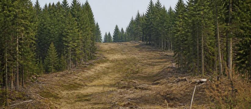 Татарстан создал 2,4 тыс. км противопожарных ми...