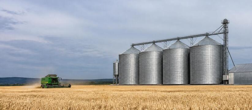 Татарстан нарастил экспорт зерна до 80 тысяч то...