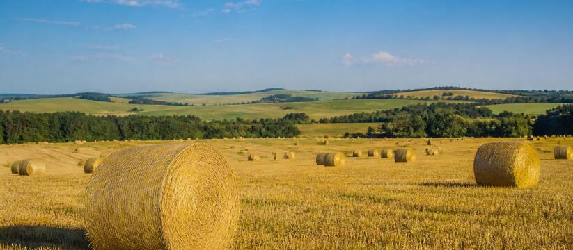 В Татарстане продолжается кормозаготовка: загот...