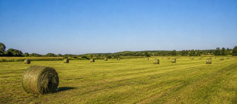 В Татарстане скошено 214 тыс. га многолетних тр...