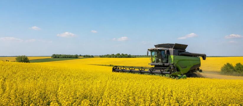 Уборочная кампания в Татарстане начинается с оз...