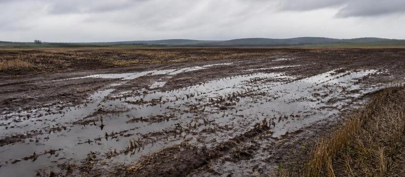 Почва в четырех районах Татарстана переувлажнилась из-за дождей Почва в четырех районах Татарстана переувлажнил...