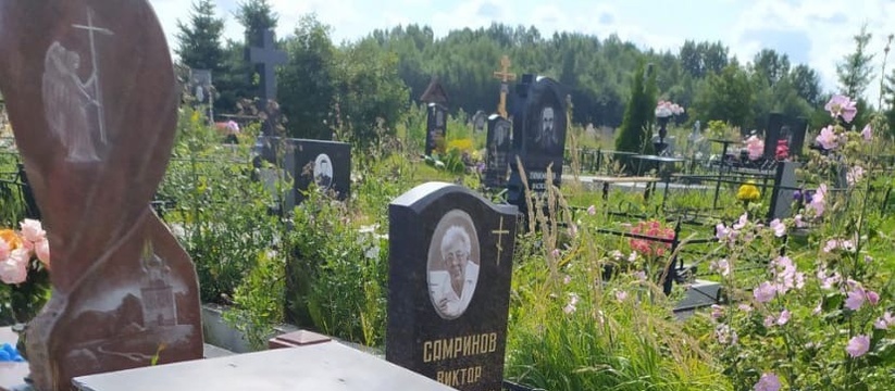 Власти Казани планируют развивать туризм в городе с помощью организации экскурсий по кладбищам.