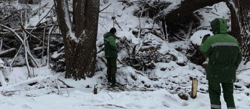 Огромную свалку площадью в тысячи квадратных метров нашли в Казани В Казани возбуждено уголовное дело по факту нар...