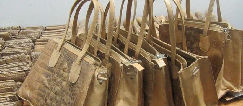 В Казани пресекли попытку ввоза редкой кожи на два миллиона рублей В аэропорту Казани пассажир пытался провезти 61...