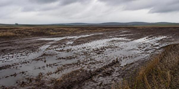 Почва в четырех районах Татарстана переувлажнил...