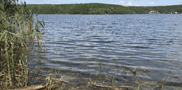 В Казани из-за прорыва канализации стоки текут ...