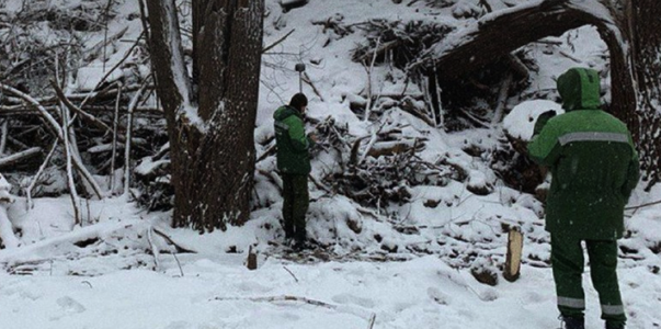 Огромную свалку площадью в тысячи квадратных ме...