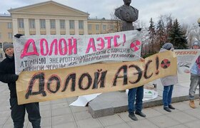 В Казани прошел протест против атомной электрос...